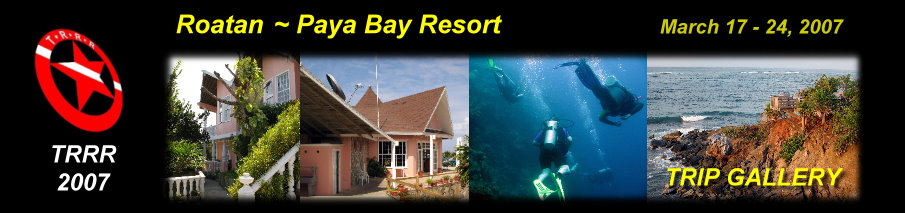 2007 Paya Bay Gallery